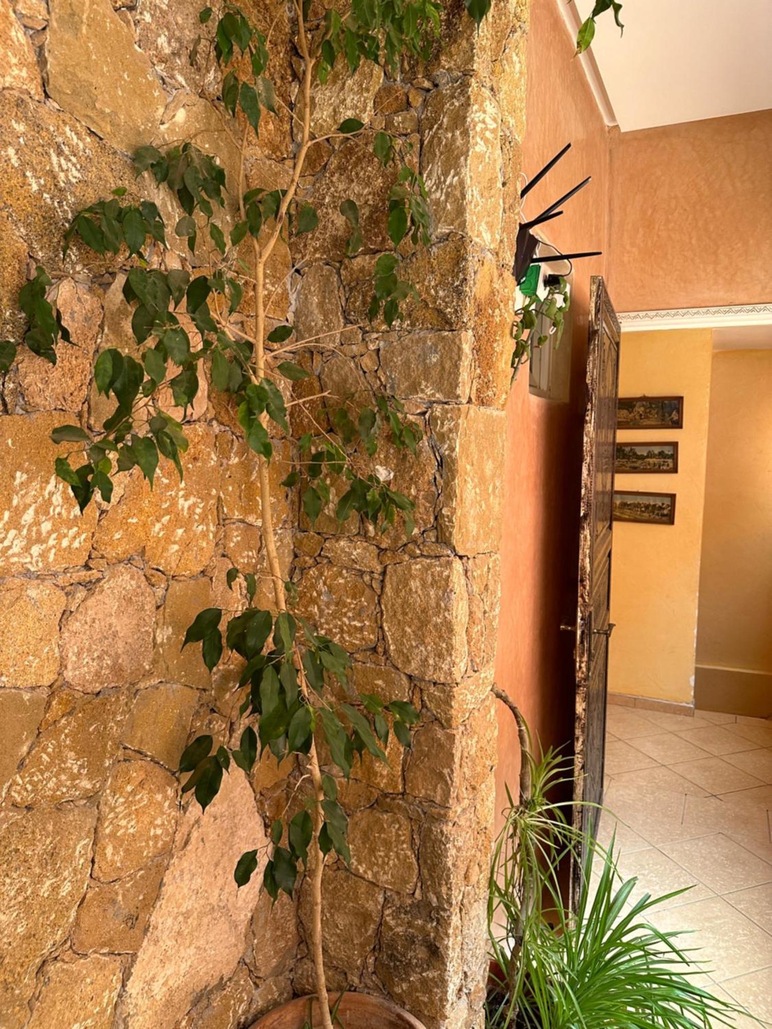 Europa Mirlef T Aventur Guest House Mirleft Εξωτερικό φωτογραφία